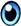Eye iris